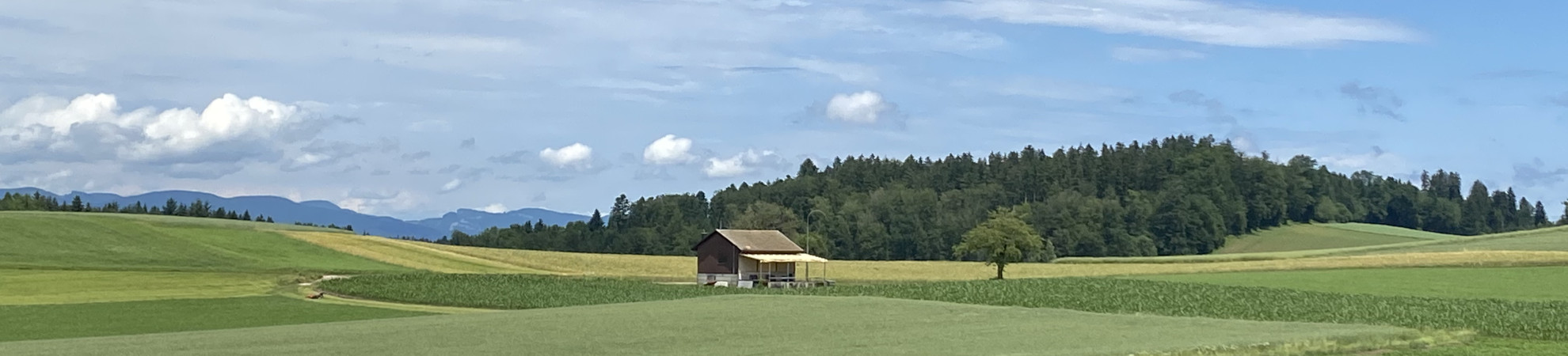 Startseite Gemeinde Rütschelen