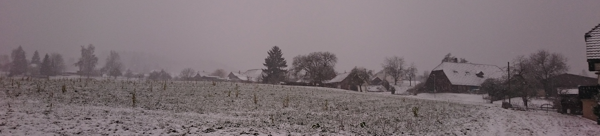 Schneegestöber im Flösch